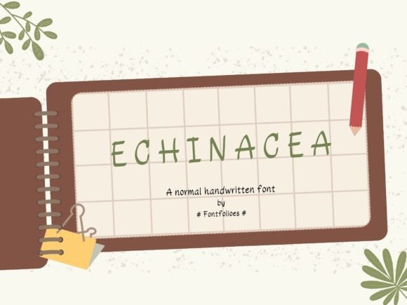 Echinacea Font: A Playful Typeface for Modern Web Design