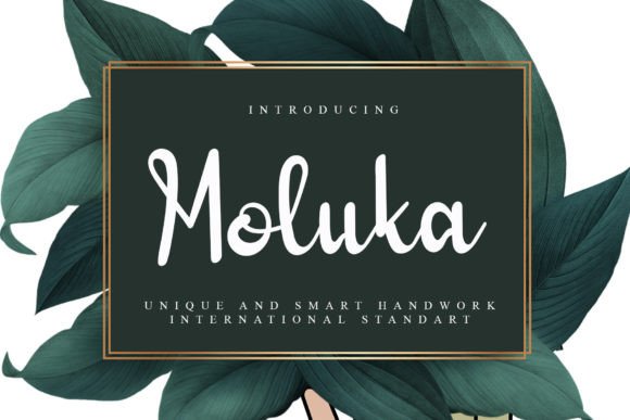 Moluka Font Review: A Quirky Typeface for Web Headers